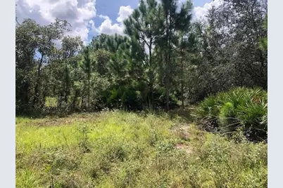 0  Old Grade Rd, Other City - In The State Of Florida, FL 33868 - Photo 2