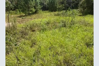 0  Old Grade Rd, Other City - In The State Of Florida, FL 33868 - Photo 1