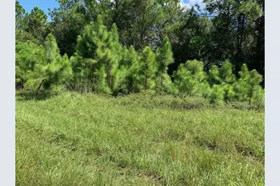 0  Old Grade Rd, Other City - In The State Of Florida, FL 33868 - Photo 1