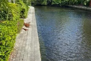 578 NE 20th St, Fort Lauderdale, FL 33305 - Photo 4