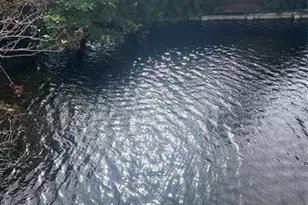 578 NE 20th St, Fort Lauderdale, FL 33305 - Photo 2