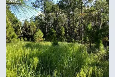 0  Old Grade Rd, Other City - In The State Of Florida, FL 33868 - Photo 1