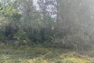 0 Old Grade Rd, Other City - In The State Of Florida, FL 33868 - Photo 2