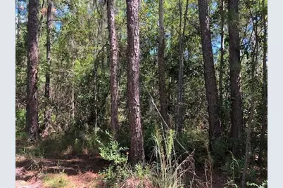 0  Old Grade Rd, Other City - In The State Of Florida, FL 33868 - Photo 2