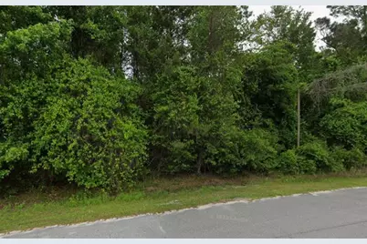 291 SW Pine Forest Court, Lake City, FL 32024 - Photo 6