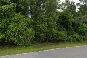 291 SW Pine Forest Ct, Lake City, FL 32024 - Photo 6