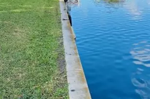 2937 SE 21st Ct, Okeechobee, FL 34974 - Photo 4