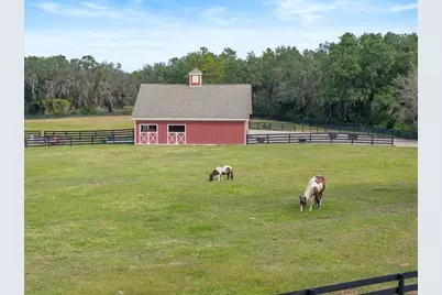 41526  Saddle Ridge Lane, Other City - In The State Of Florida, FL 32195 - Photo 90