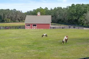 41526 Saddle Ridge Ln, Other City - In The State Of Florida, FL 32195 - Photo 90