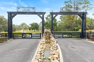 41526 Saddle Ridge Ln, Other City - In The State Of Florida, FL 32195 - Photo 94