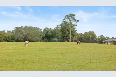 41526  Saddle Ridge Lane, Other City - In The State Of Florida, FL 32195 - Photo 68