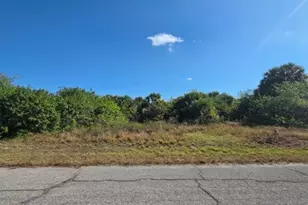 190 Carousel Ave, Labelle, FL 33935 - Photo 4