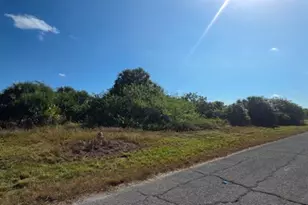 192 Carousel Ave, Labelle, FL 33935 - Photo 2