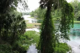 Lot1 SW 158th Ct, Ocala, FL 34481 - Photo 6