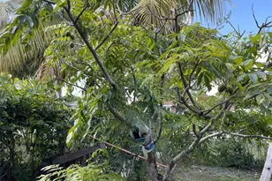 671 NW 38th St, Deerfield Beach, FL 33064 - Photo 38