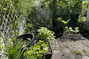 671 NW 38th St, Deerfield Beach, FL 33064 - Photo 46