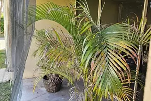 8294 NW 24th St, Coral Springs, FL 33065 - Photo 18