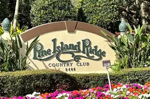 9101 SW 19th Pl, Davie, FL 33324 - Photo 40