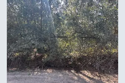 0  County Rd 54 E, Kathleen, FL 33849 - Photo 4