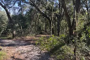 0 County Rd 54 E, Kathleen, FL 33849 - Photo 2