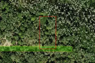 0 County Rd 54 E, Kathleen, FL 33849 - Photo 4