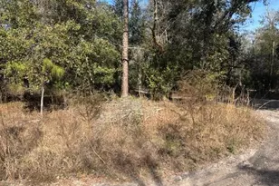 0 County Rd 54 E, Kathleen, FL 33849 - Photo 2