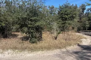 0 County Rd 54 E, Kathleen, FL 33849 - Photo 2