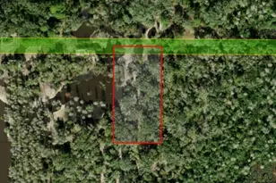 0 County Rd 54 E, Kathleen, FL 33849 - Photo 4