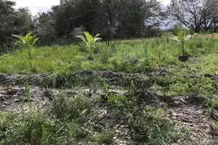 16120 NW 300th St, Okeechobee, FL 34972 - Photo 6