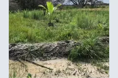 16120 NW 300th St, Okeechobee, FL 34972 - Photo 4