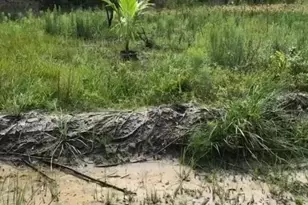 16120 NW 300th St, Okeechobee, FL 34972 - Photo 4