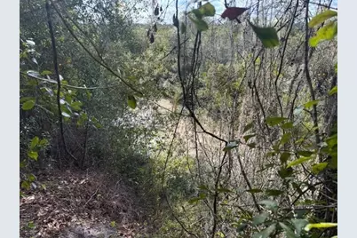 0  County Rd 54 E, Kathleen, FL 33849 - Photo 2