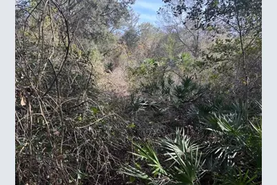 0  County Rd 54 E, Kathleen, FL 33849 - Photo 1