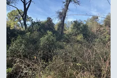 0  County Rd 54 E, Kathleen, FL 33849 - Photo 2