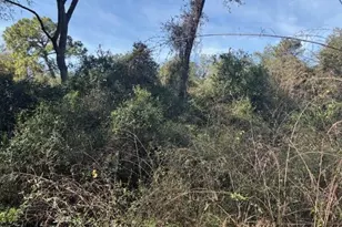 0 County Rd 54 E, Kathleen, FL 33849 - Photo 2