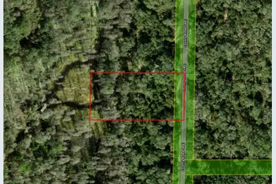 0  County Rd 54 E, Kathleen, FL 33849 - Photo 4