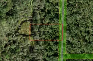 0 County Rd 54 E, Kathleen, FL 33849 - Photo 4