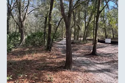0  County Rd 54 E, Kathleen, FL 33849 - Photo 2