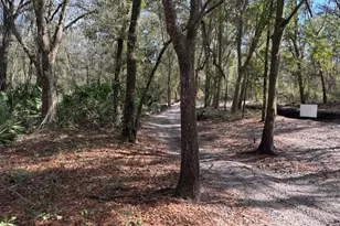 0 County Rd 54 E, Kathleen, FL 33849 - Photo 2