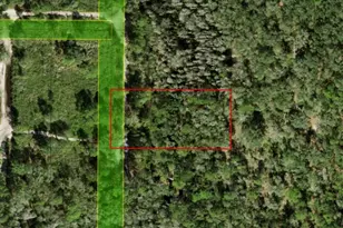 0 County Rd 54 E, Kathleen, FL 33849 - Photo 2