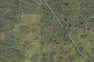 0 County Rd 54 E, Kathleen, FL 33849 - Photo 2