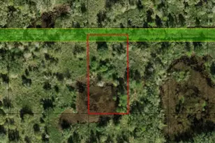 0 County Rd 54 E, Kathleen, FL 33849 - Photo 2