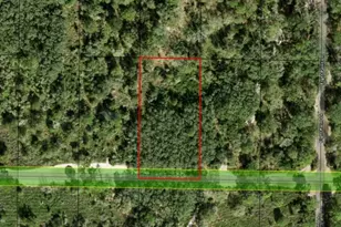 0 County Rd 54 E, Kathleen, FL 33849 - Photo 2