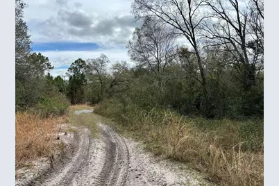 0  County Rd 54 E, Kathleen, FL 33849 - Photo 2