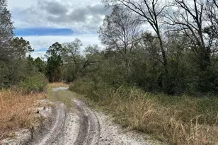 0 County Rd 54 E, Kathleen, FL 33849 - Photo 2