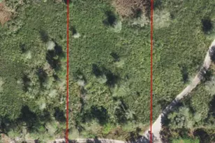 0 County Rd 54 E, Kathleen, FL 33849 - Photo 2