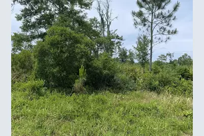 0  County Rd 54 E, Kathleen, FL 33849 - Photo 1