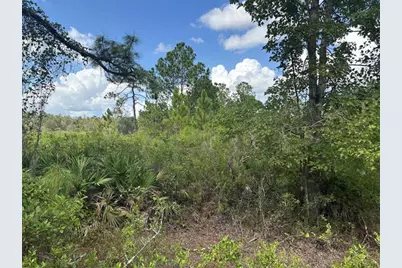 0  County Rd 54 E, Kathleen, FL 33849 - Photo 1