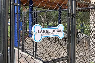 661 Palmetto Dr, Coconut Creek, FL 33066 - Photo 78