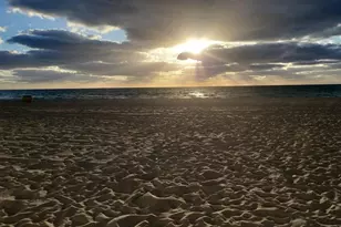 1801 S Surf Rd Unit, Hollywood, FL 33019 - Photo 10